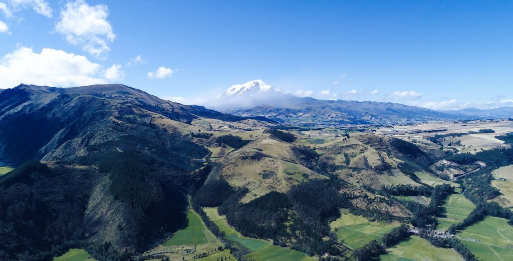 A propósito de la «Especialidad Tradicional Garant